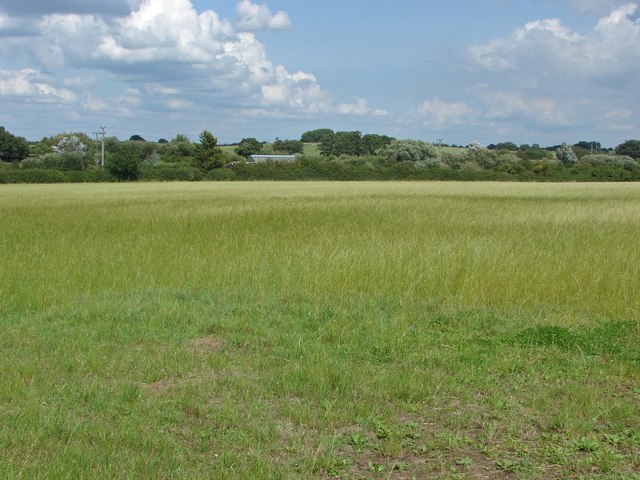 Field near Warfield