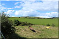 Farmland near Dykehead