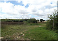 Footpath to the B1332 Norwich Road