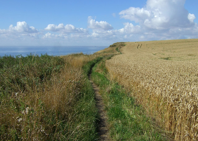 Headland Way Footpath, New Fall