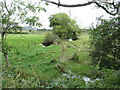 Drainage ditch in an area of wetland north of the Ballyhornan Road