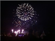 SE7170 : Fireworks at Castle Howard Proms Spectacular 2014 by Susan Knowles