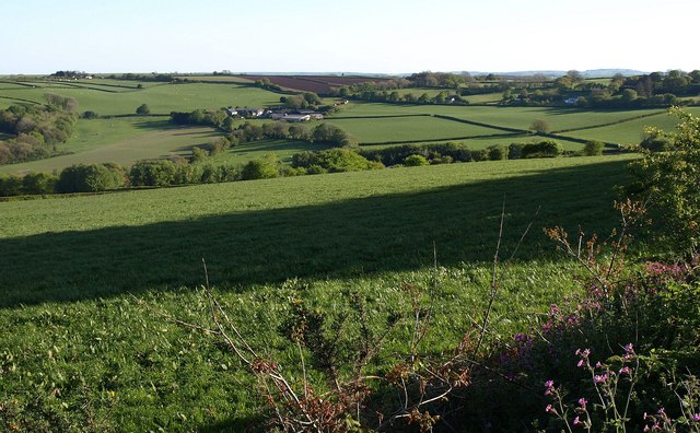 Farmland east of Callington
