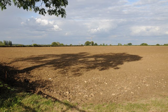 Arable field near Pipewell