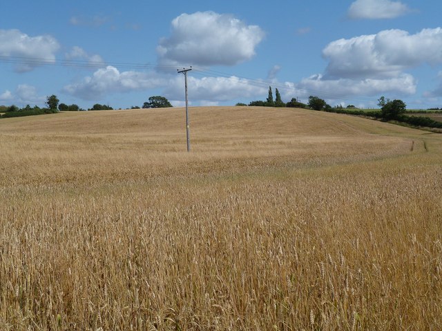 Nethercote Farmland