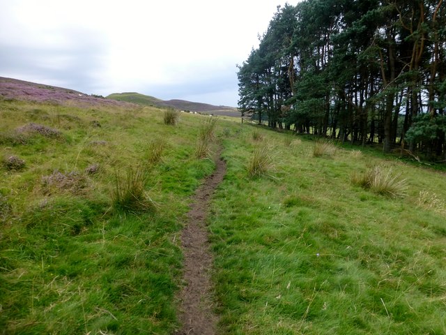 View Towards Dunsinane Hill