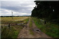 Farm track off Wighill Lane