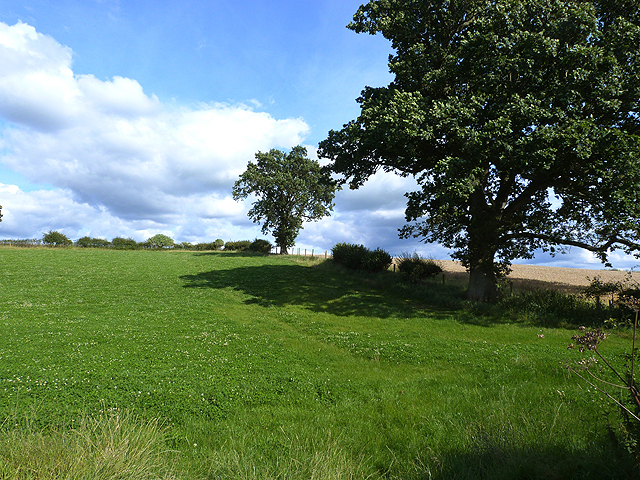 Field near the top of Potter's Bank