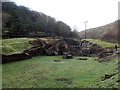 Remains of Abbey Tintern Furnace