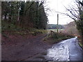 Gated track into woodland in the Angiddy Valley