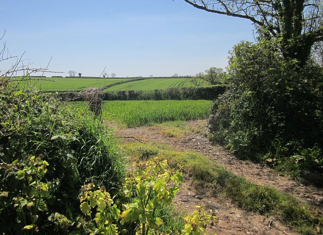 Farmland near Alston
