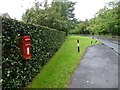 Postbox in a hedge