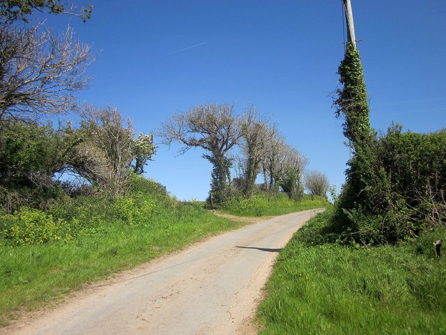 Lane from Alston
