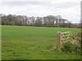 A field near Burwarton