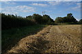 Path leading to Bubwith Rail Trail