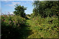 The Budwith Rail Trail towards Bubwith