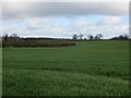 Rea Valley arable