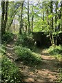 Path over disused railway near Topsham Bridge