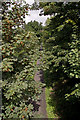 A cycle path heading away from the Landkey Road bridge