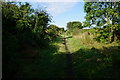 The Budwith Rail Trail towards Bubwith