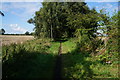 SE8239 : The Budwith Rail Trail towards Bubwith by Ian S