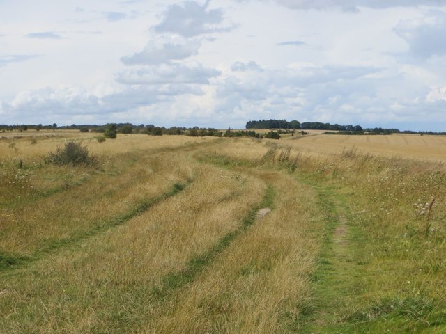 Ridgeway to East Hendred