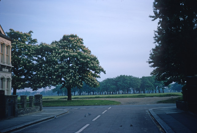 Early morning view of Wanstead Flats