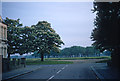 Early morning view of Wanstead Flats