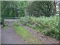 Footpath from Crieff Bridge to Duchlage (9)