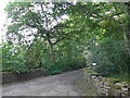 Footpath from Crieff Bridge to Duchlage (13)