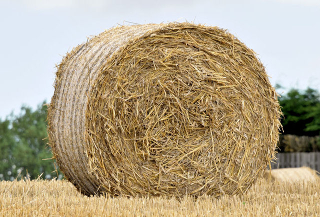Bales near the Giant's Ring, Belfast - August 2014(2)