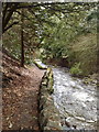 Stream in Wilton Lodge Park, Hawick