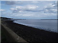 Shoreline at  Stannergate, Dundee