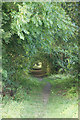 Path to Taymount Wood from Airntully