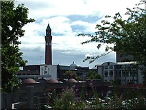 SP0483 : Joseph Chamberlain Memorial Clock Tower, Birmingham University by Peter Evans