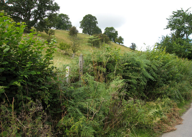 Overgrown footpath stile near Purslow