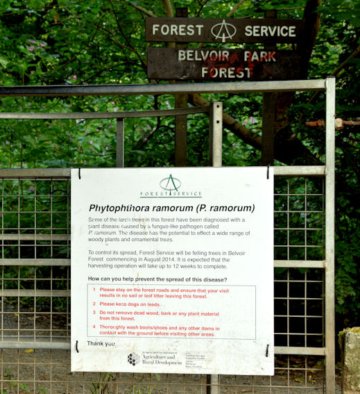 Tree disease warning sign, Belvoir forest, Belfast (August 2014)