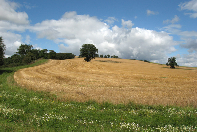 Field at Walcot Park