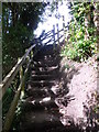 Steps on the river bank