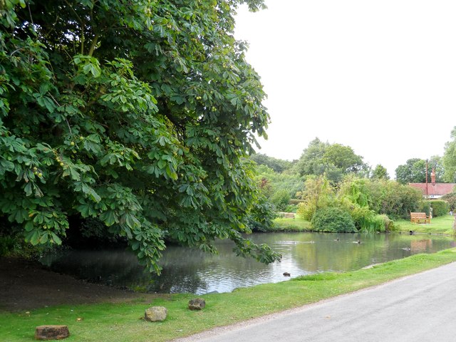 Pond near to St Mary's church, Old Hunstanton