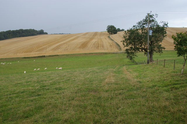 Fields by Manor Farm, Chartley
