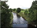 The Bann below Ballyroney Bridge