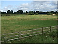 Grazing off Rockingham Road