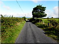 Foremass Road, Dunmoyle