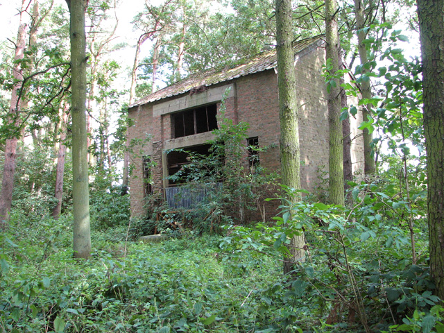 Old RAF building in the woods