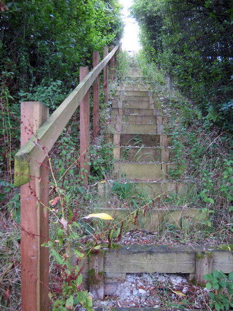 The Wooden Steps to Nowhere