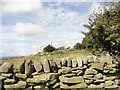 Stone wall near Ashtree farm