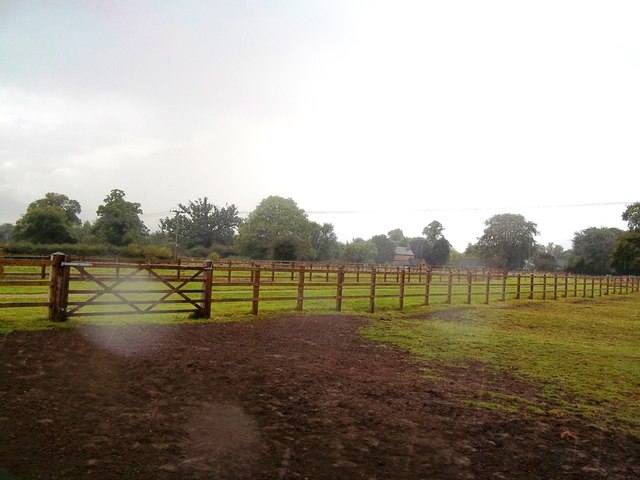Equestrian Paddocks near Foston
