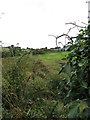 The remains of the GNR(I) trackbed viewed in the direction of Ballyroney