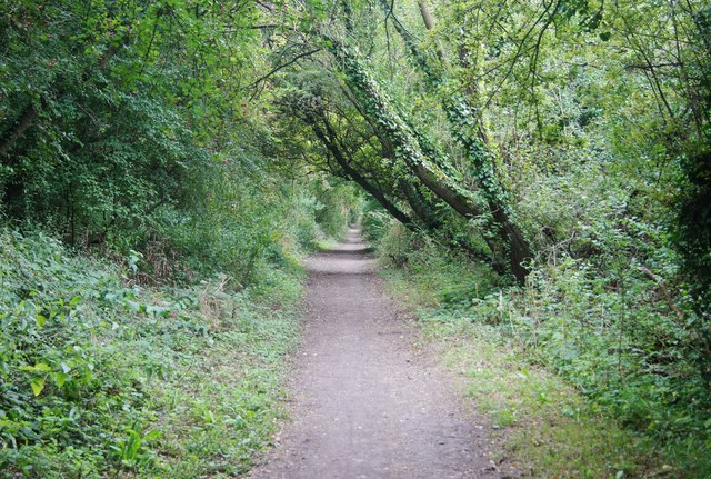 Didcot, Newbury and Southampton Railway © Logomachy :: Geograph Britain ...